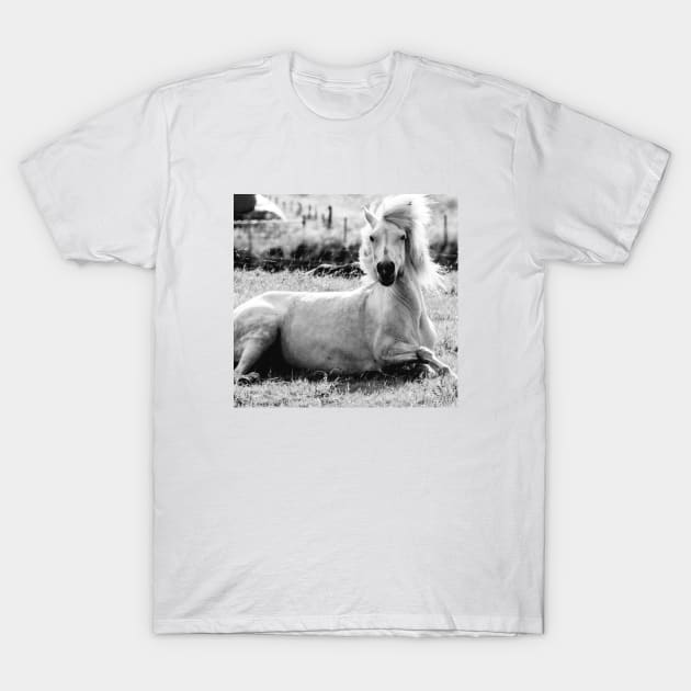 Icelandic Horse T-Shirt by PhoToddGraphy